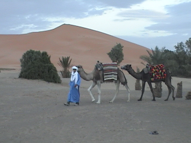 Bivouac "Les Nomades" Hotel Merzouga Riad Merzouga :  loisirs